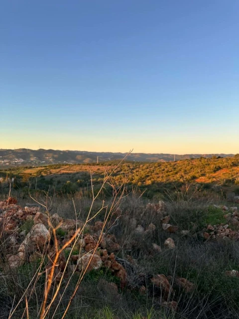 Terreno para Venda em Silves