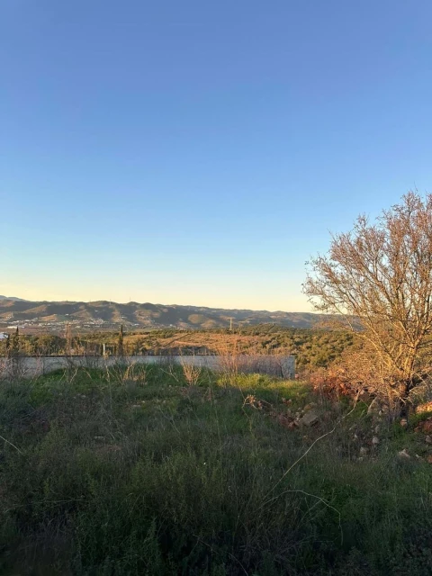 Terreno para Venda em Silves