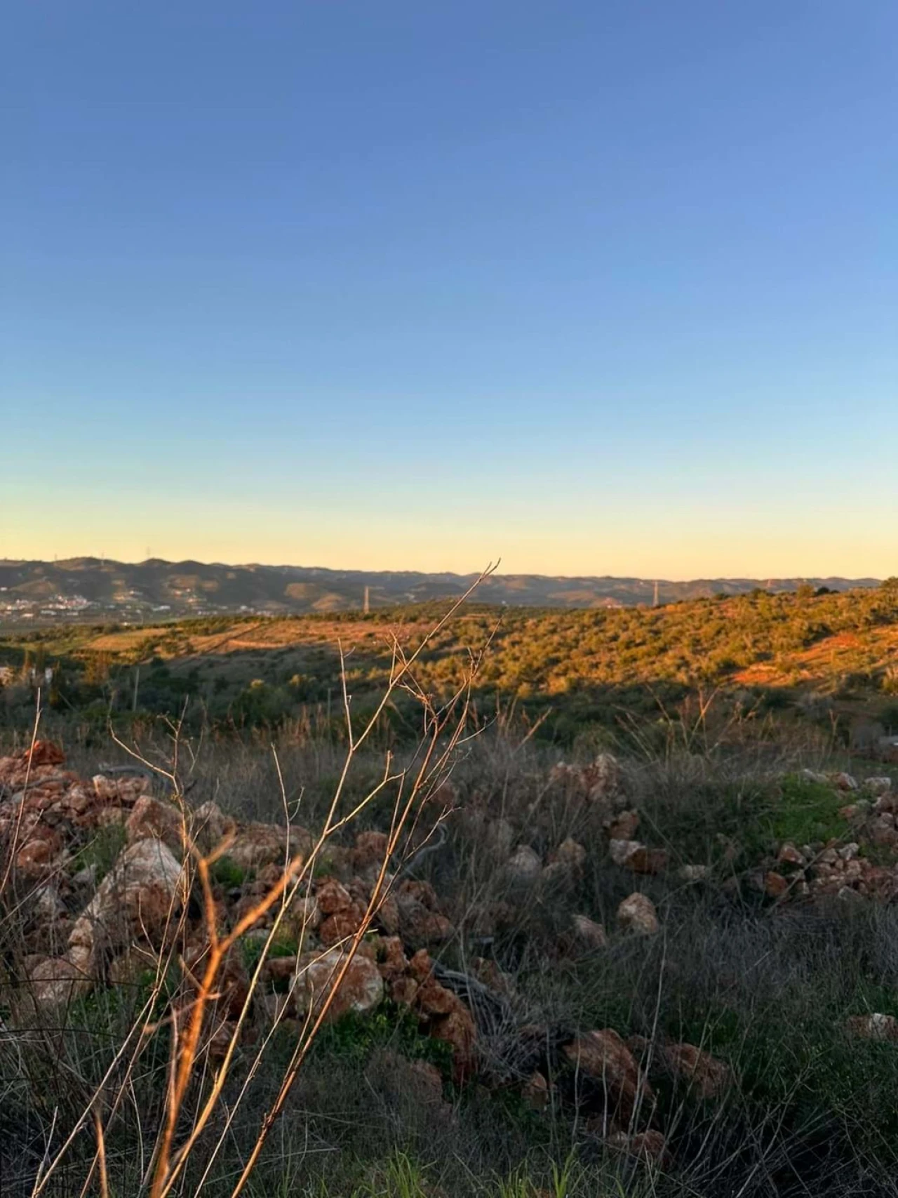Terreno para Venda em Silves Foto 7