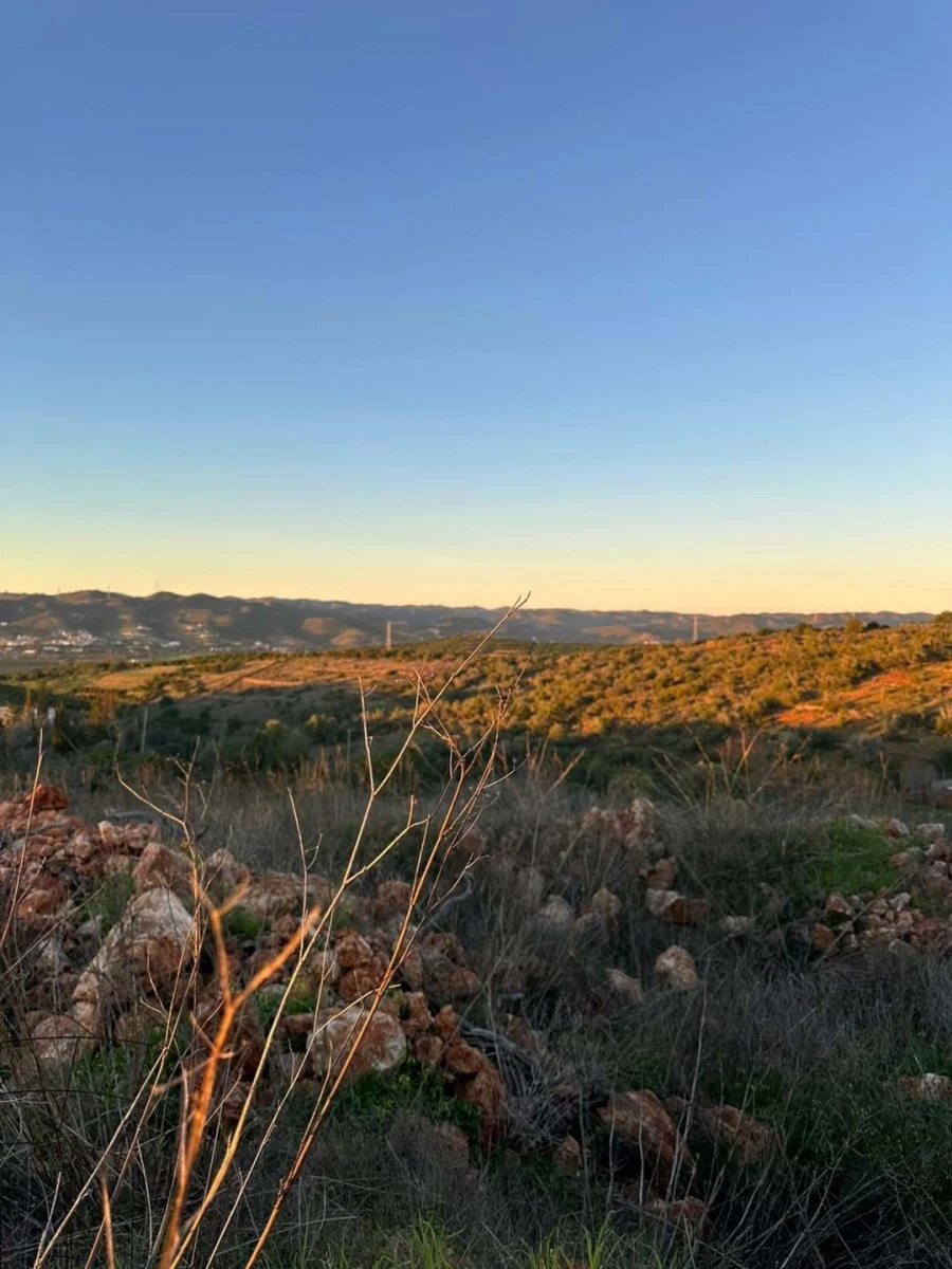 Terreno para Venda em Silves Foto 7