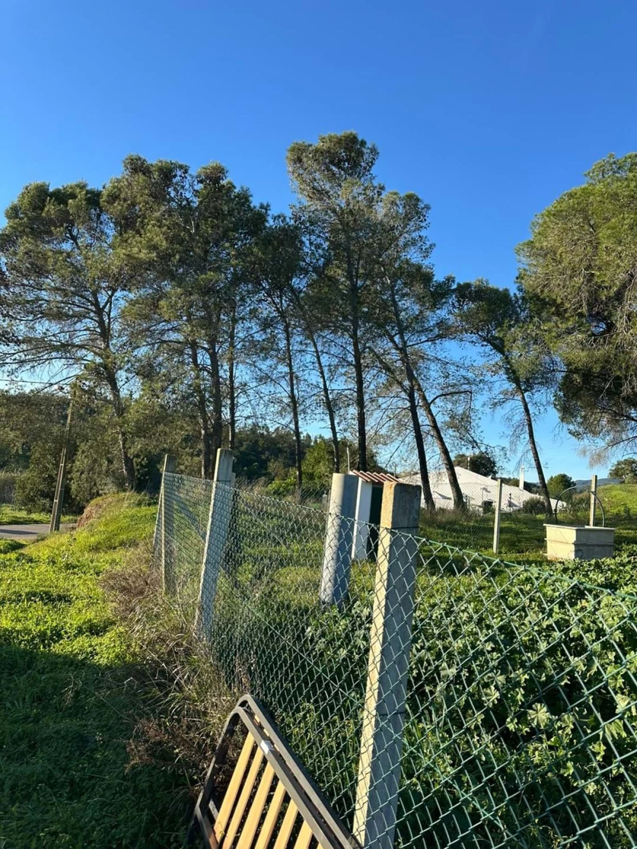 Terreno para Venda em Mexilhoeira Grande Foto 8