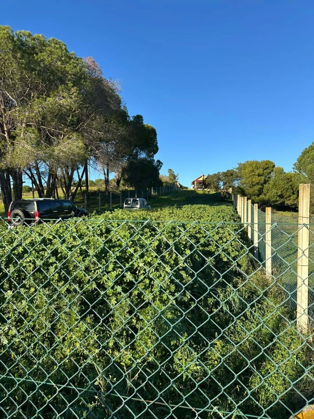 Terreno para Venda em Mexilhoeira Grande Foto 9