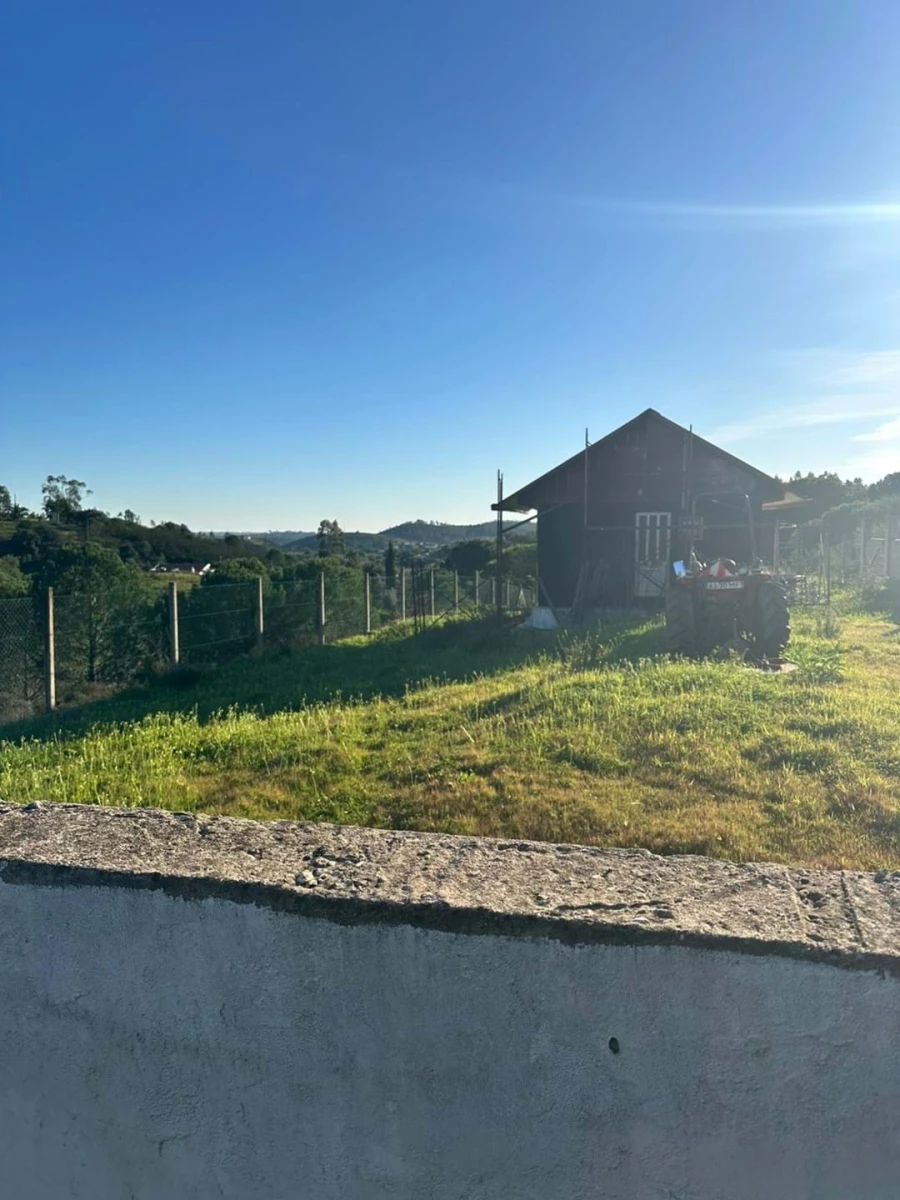 Terreno para Venda em Mexilhoeira Grande Foto 4