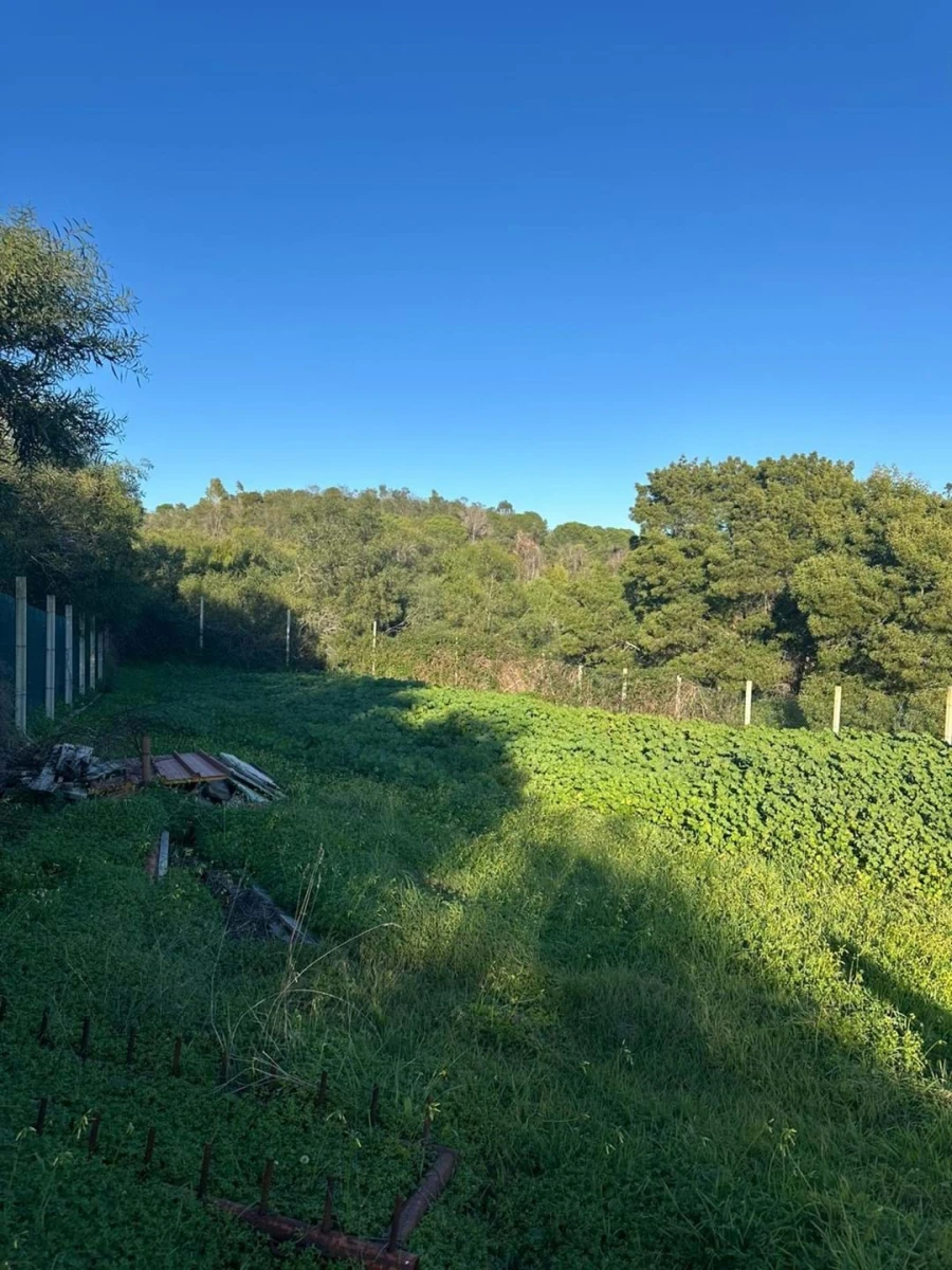 Terreno para Venda em Mexilhoeira Grande Foto 5