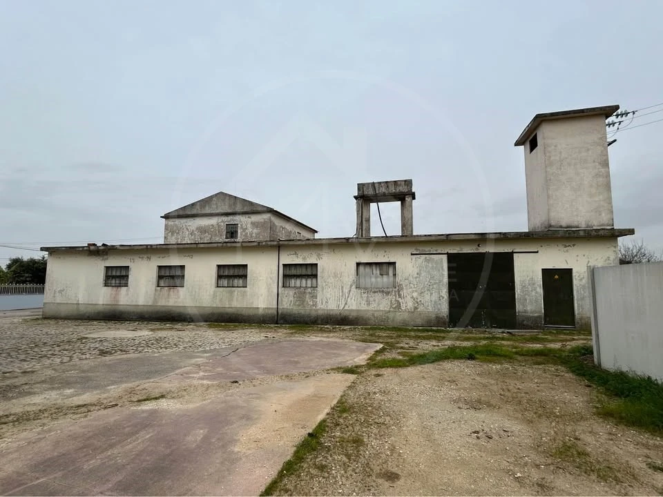 Armazém para Venda em Ílhavo (São Salvador) Foto 8