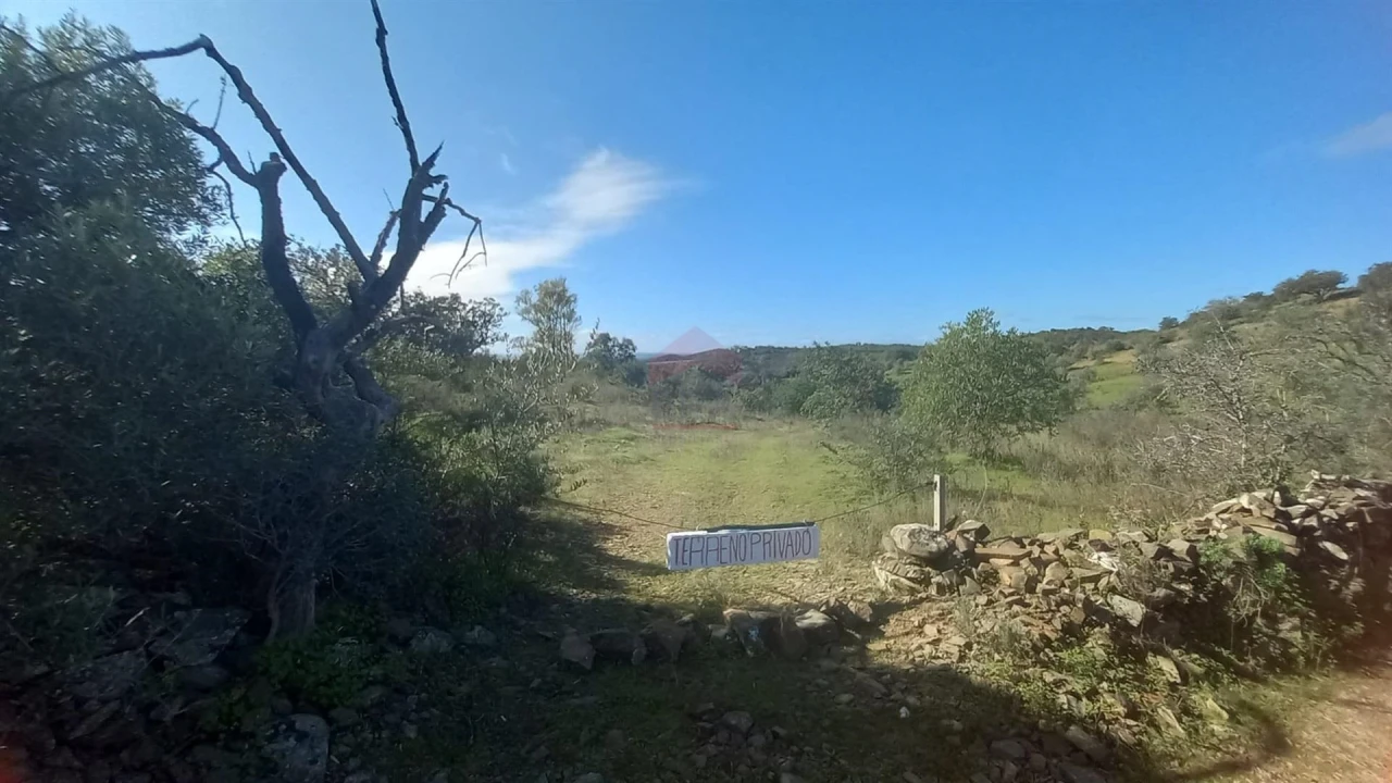 Terreno Agricola ou Rústico para Venda em Alcoutim e Pereiro Foto 2