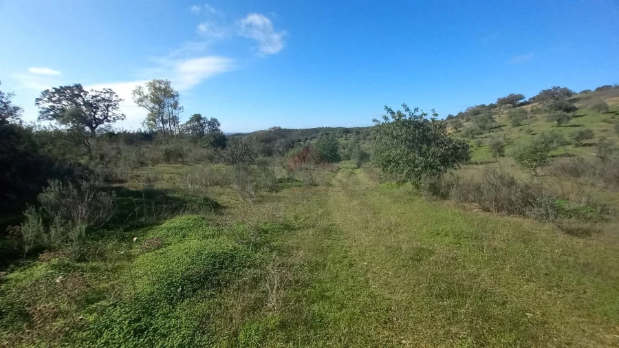 Terreno Agricola ou Rústico para Venda em Alcoutim e Pereiro