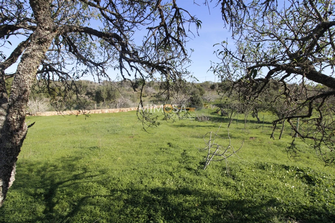 Quinta T4 para Venda em Bensafrim e Barão de São João Foto 49