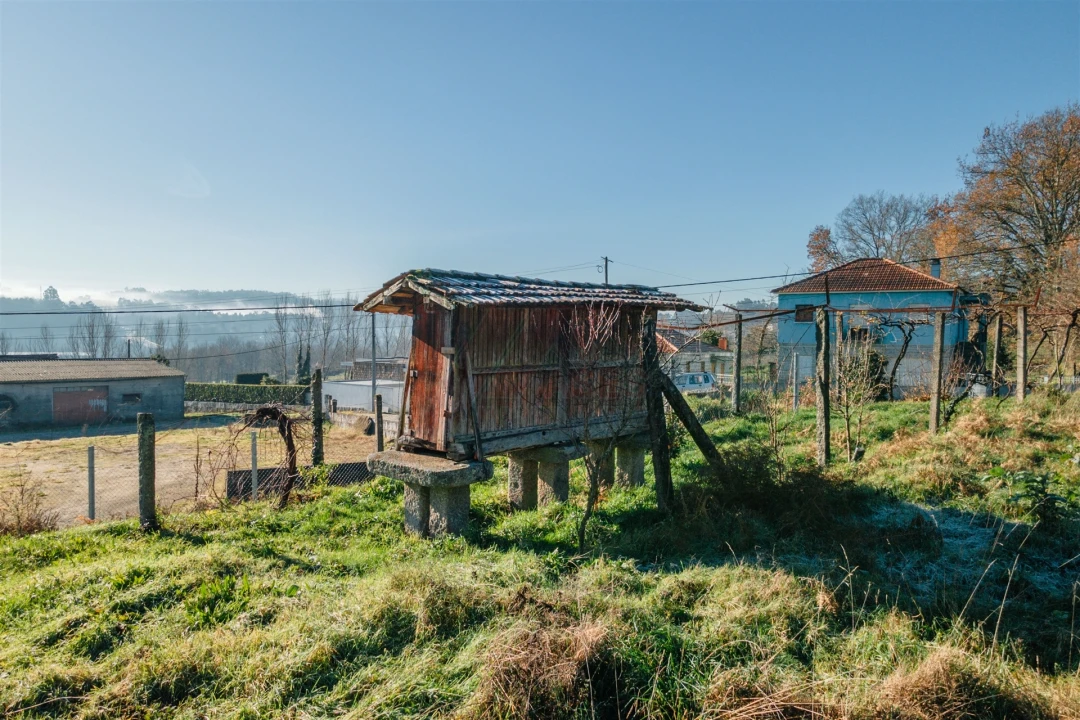 Terreno para Venda em Golães Foto 14