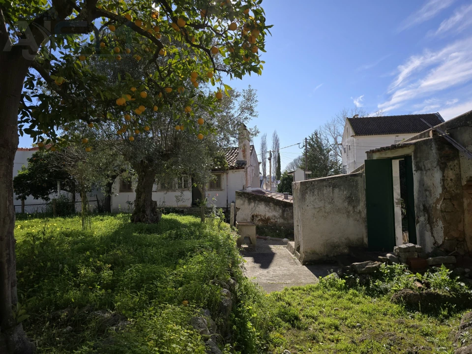 Moradia T4 para Venda em Vila Nova da Barquinha Foto 6