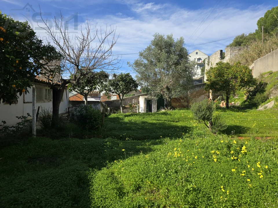 Moradia T4 para Venda em Vila Nova da Barquinha Foto 5