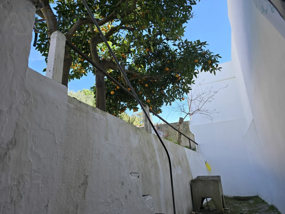 Moradia T4 para Venda em Vila Nova da Barquinha Foto 21