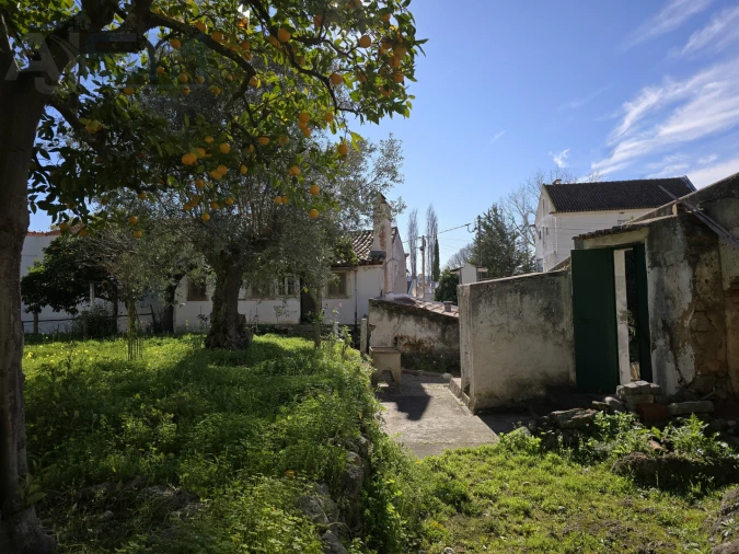 Moradia T4 para Venda em Vila Nova da Barquinha Foto 6