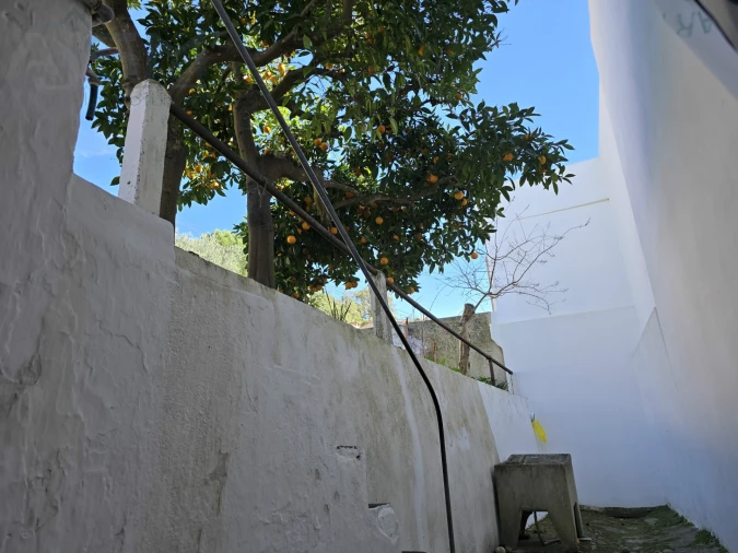 Moradia T4 para Venda em Vila Nova da Barquinha Foto 21