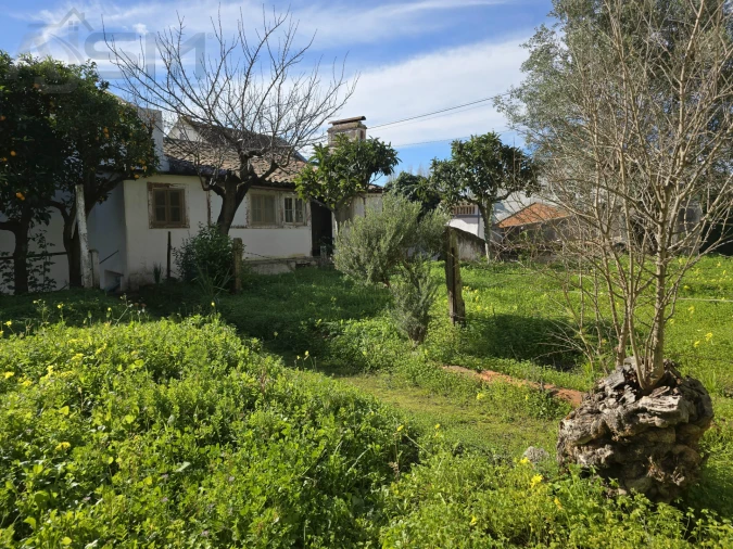 Moradia T4 para Venda em Vila Nova da Barquinha Foto 3