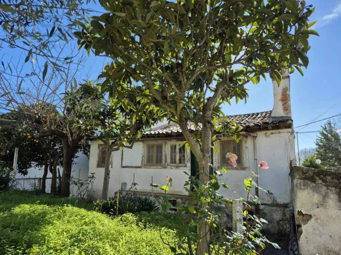 Moradia T4 para Venda em Vila Nova da Barquinha Foto 2