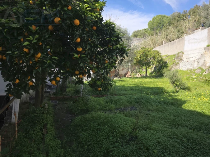 Moradia T4 para Venda em Vila Nova da Barquinha Foto 4