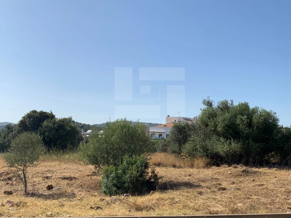 Terreno para Venda em Loule (São Sebastião) Foto 2