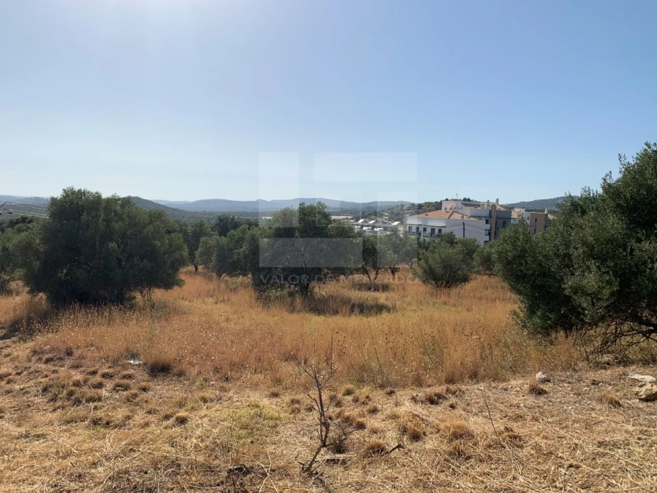 Terreno para Venda em Loule (São Sebastião) Foto 1