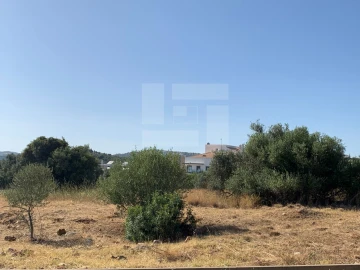 Terreno para Venda em Loule (São Sebastião)