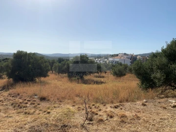 Terreno para Venda em Loule (São Sebastião)
