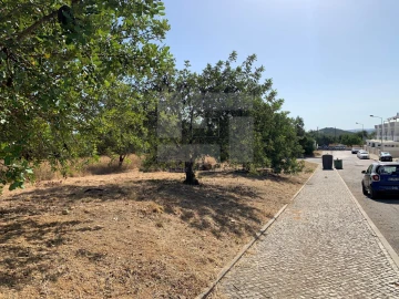 Terreno para Venda em Loule (São Sebastião)