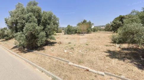 Terreno para Venda em Loule (São Sebastião)