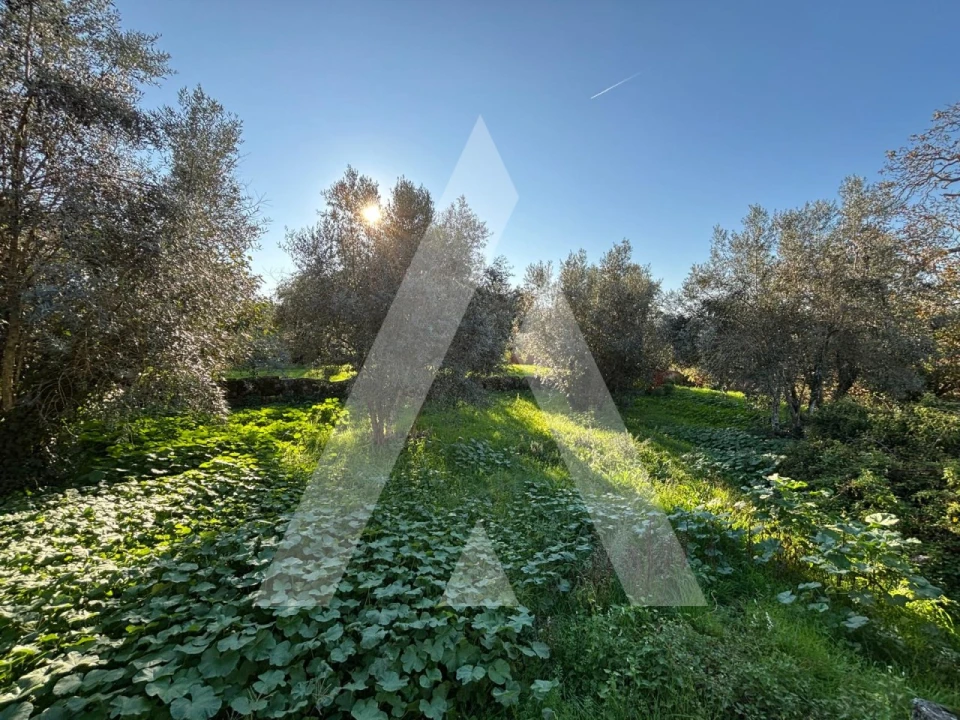 Moradia T6 para Venda em Rio Torto e Lagarinhos Foto 8