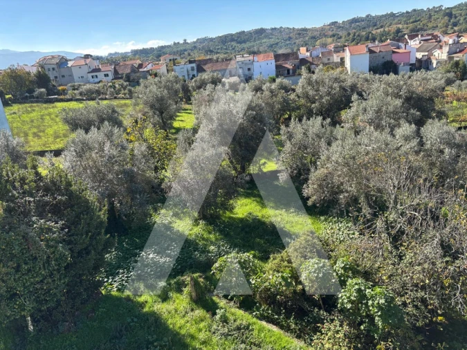 Moradia T6 para Venda em Rio Torto e Lagarinhos Foto 26