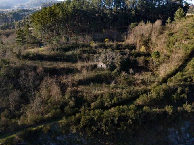 Quinta T0 para Venda em Fregim Foto 5