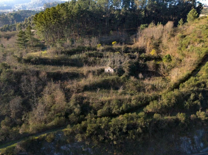 Quinta T0 para Venda em Fregim Foto 10