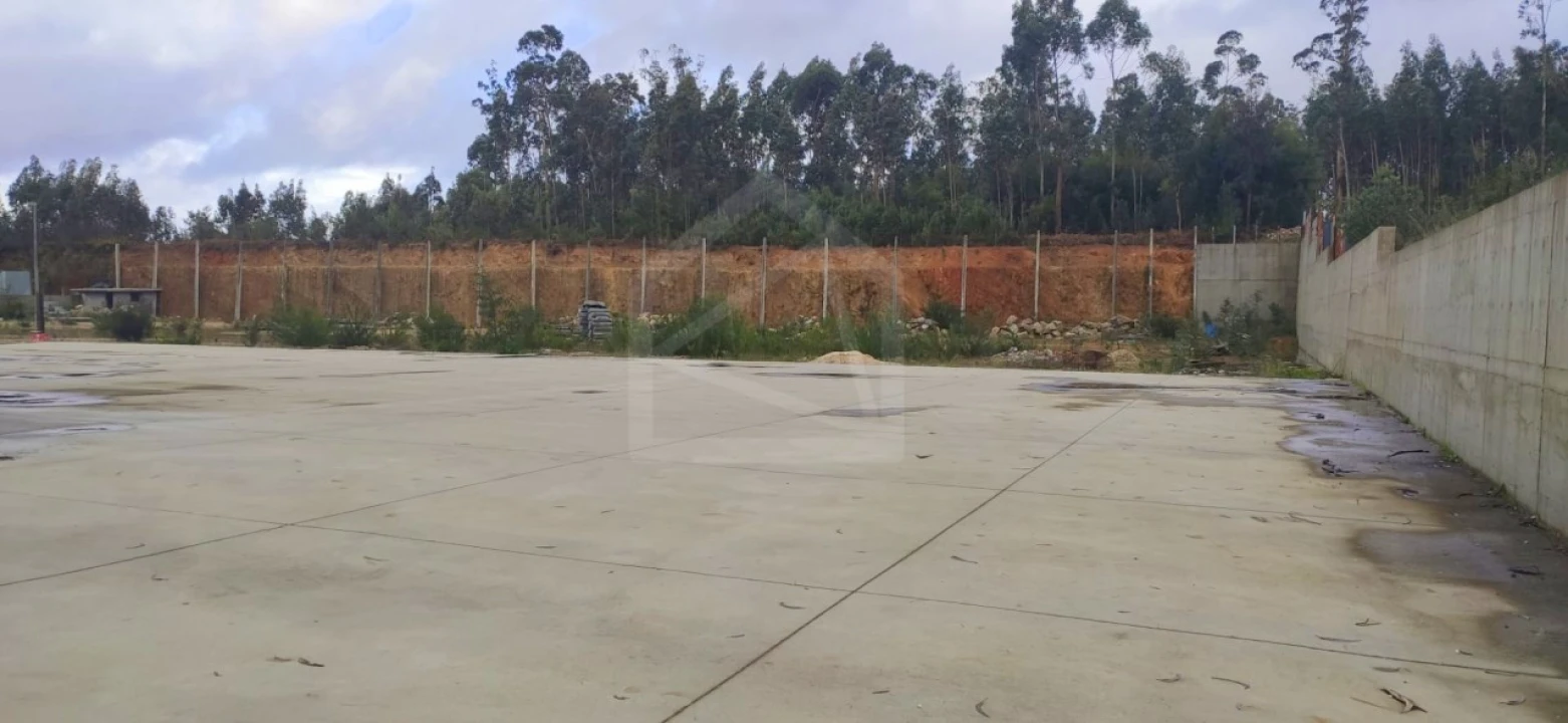 Armazém para Arrendamento em Lourosa Foto 6