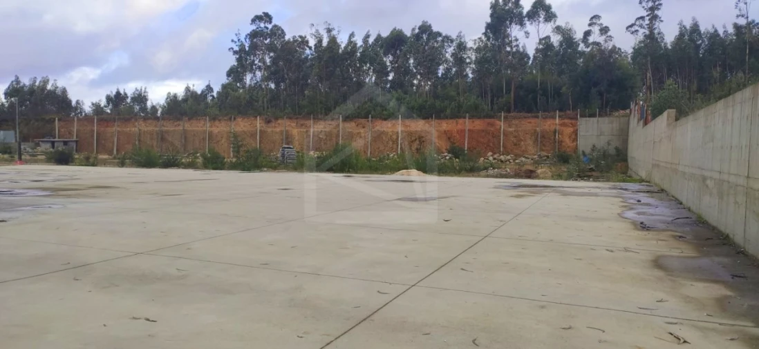 Armazém para Arrendamento em Lourosa Foto 6