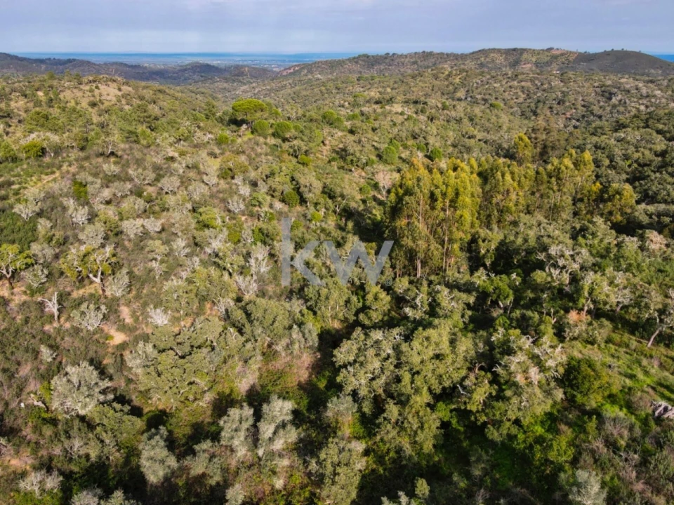 Quinta T1 para Venda em Grândola e Santa Margarida da Serra Foto 9