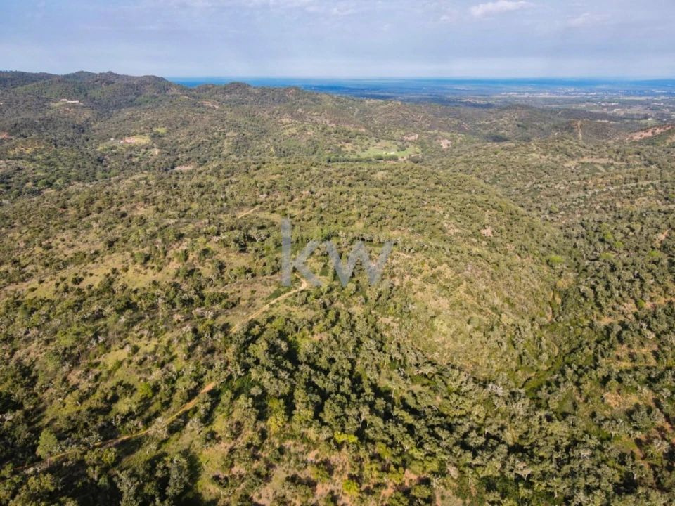 Quinta T1 para Venda em Grândola e Santa Margarida da Serra Foto 37