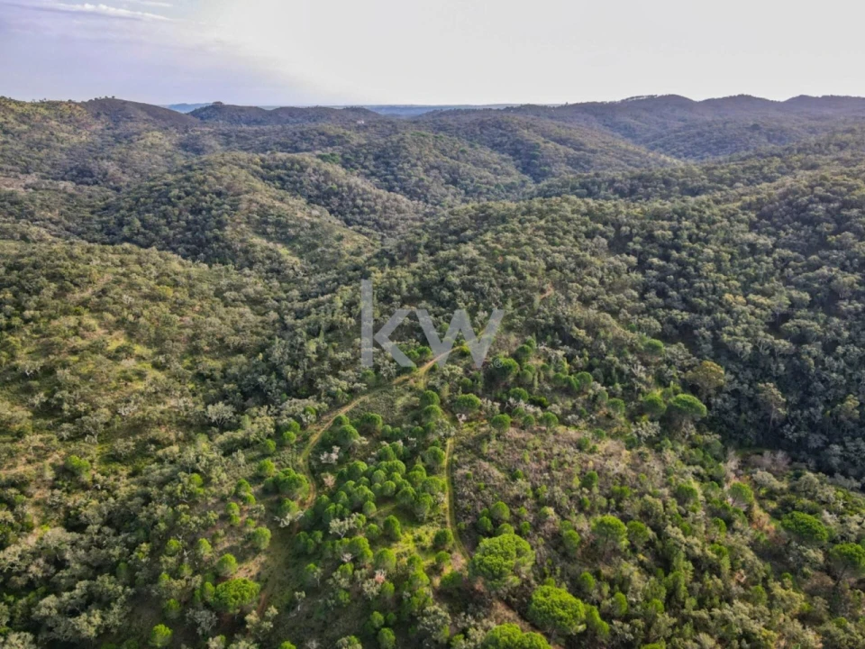 Quinta T1 para Venda em Grândola e Santa Margarida da Serra Foto 38
