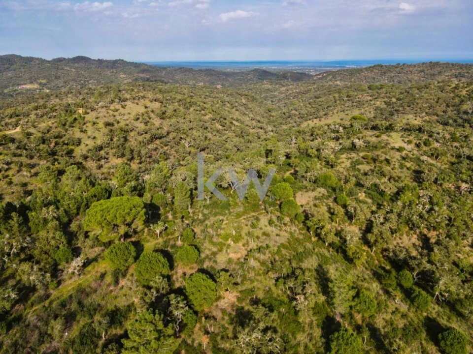 Quinta T1 para Venda em Grândola e Santa Margarida da Serra Foto 6