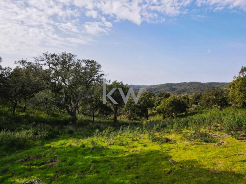 Quinta T1 para Venda em Grândola e Santa Margarida da Serra Foto 10