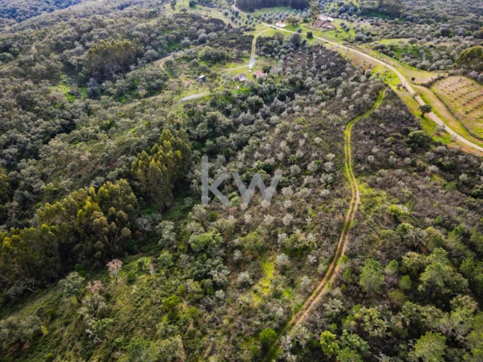 Quinta T1 para Venda em Grândola e Santa Margarida da Serra Foto 14