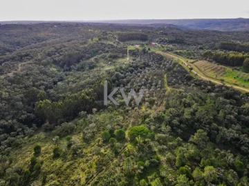 Quinta T1 para Venda em Grândola e Santa Margarida da Serra