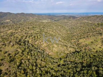 Quinta T1 para Venda em Grândola e Santa Margarida da Serra