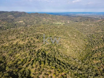 Quinta T1 para Venda em Grândola e Santa Margarida da Serra