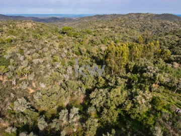 Quinta T1 para Venda em Grândola e Santa Margarida da Serra