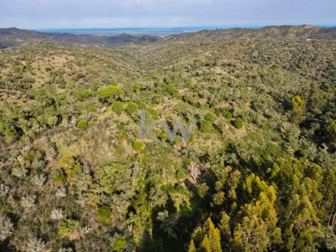 Quinta T1 para Venda em Grândola e Santa Margarida da Serra Foto 5