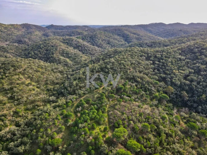 Quinta T1 para Venda em Grândola e Santa Margarida da Serra Foto 8