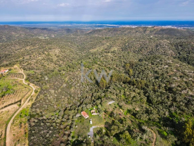 Quinta T1 para Venda em Grândola e Santa Margarida da Serra Foto 22