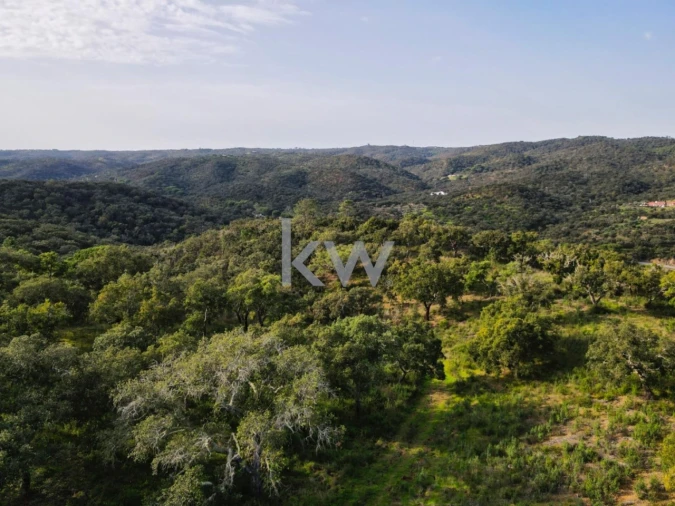 Quinta T1 para Venda em Grândola e Santa Margarida da Serra Foto 32