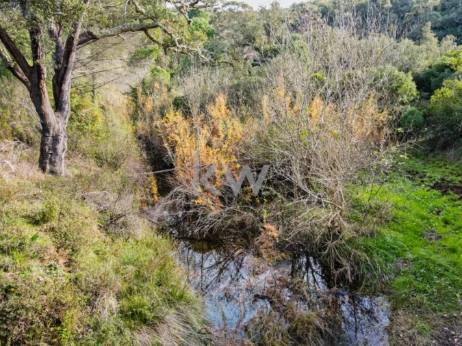 Quinta T1 para Venda em Grândola e Santa Margarida da Serra Foto 34