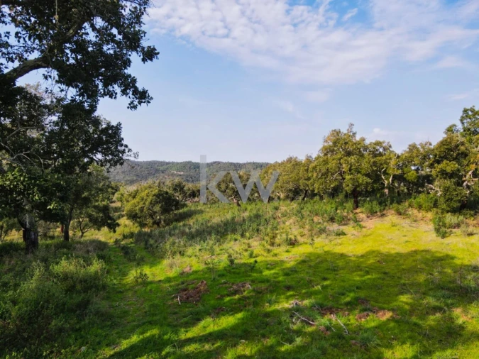 Quinta T1 para Venda em Grândola e Santa Margarida da Serra Foto 55