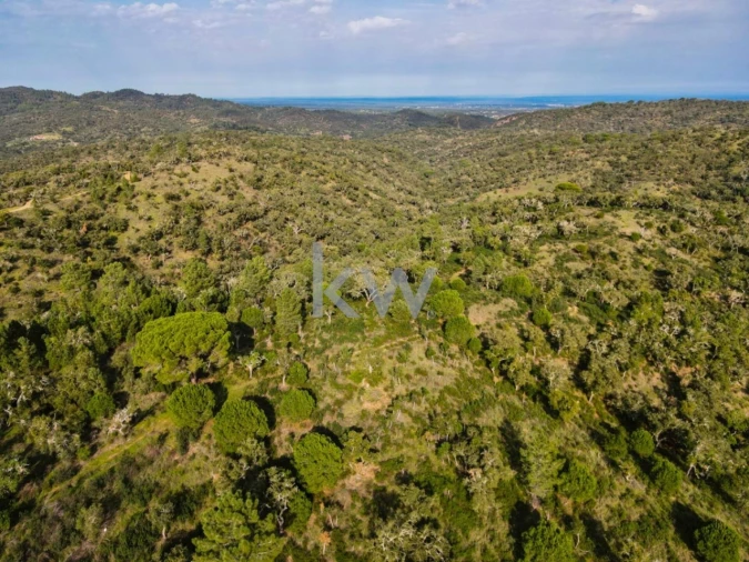 Quinta T1 para Venda em Grândola e Santa Margarida da Serra Foto 6